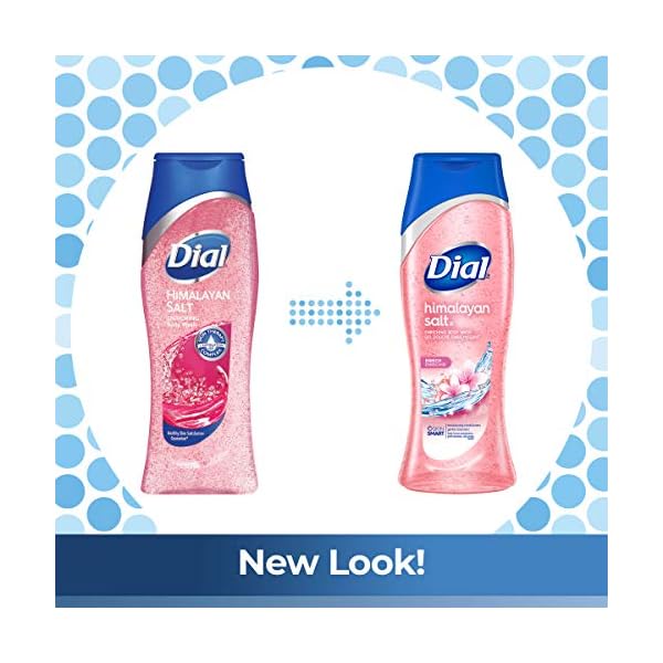 Dial Skin Therapy Body Wash, Himalayan Salt, 21 fl oz (Pack of 4)