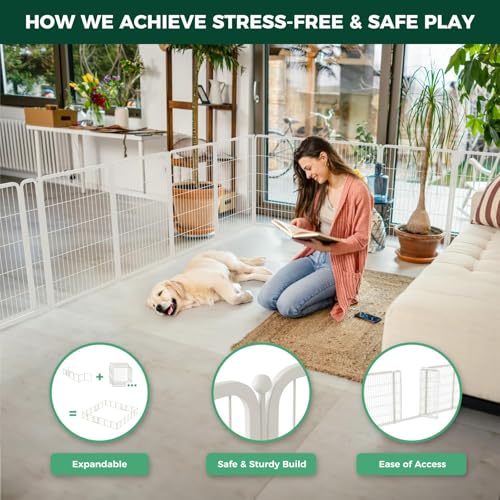 View 5