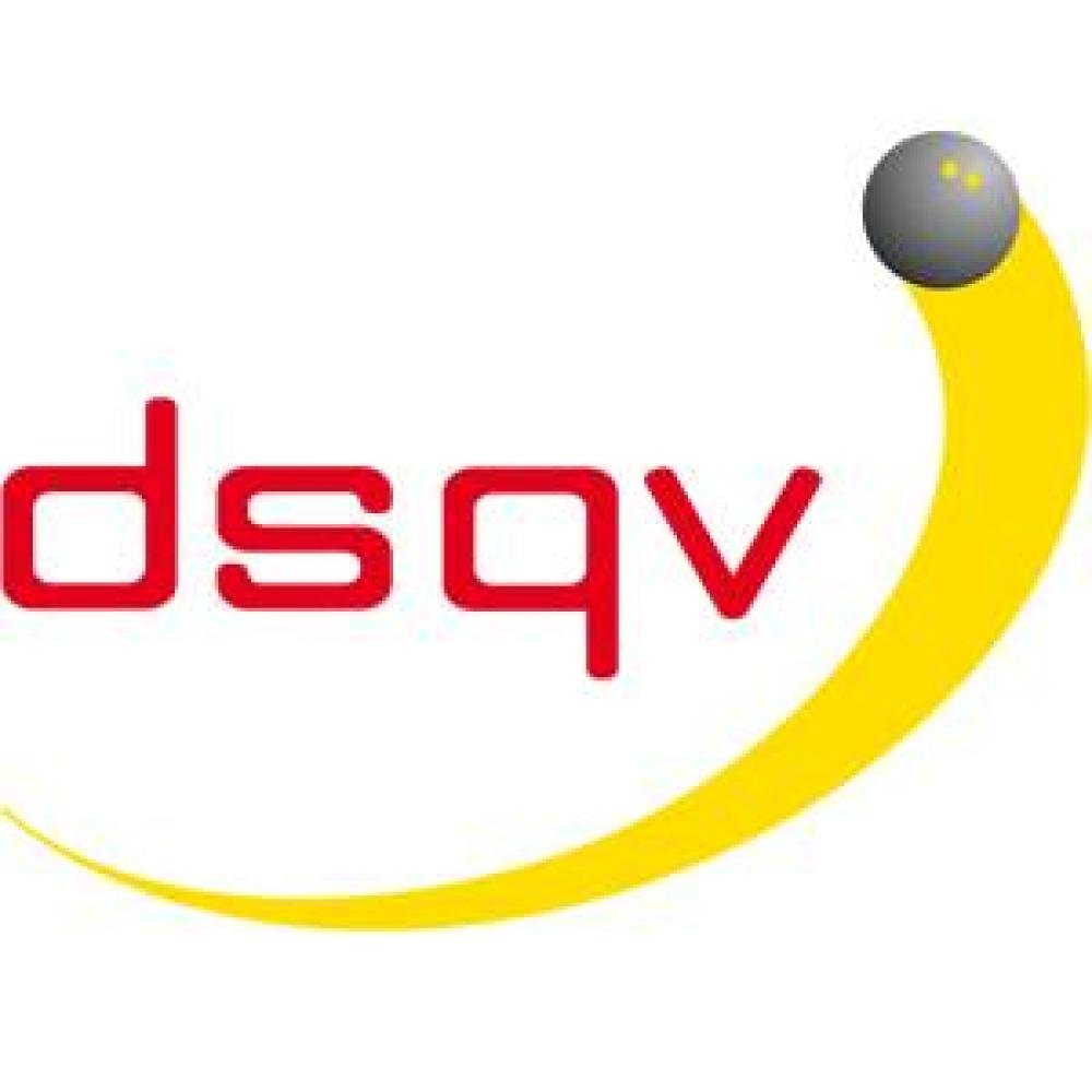 Victor Squashbälle 6er sehr langam , doppelgelb II