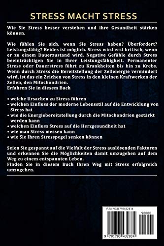 Stress macht Stress: Wie Sie Stress besser verstehen und Ihre Gesundheit stärken können