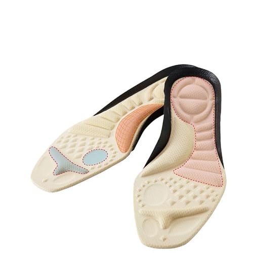 炭C\[Aɑ΍^C\[AՌzAՎp␳AV[tBb^[×̎tJ (LF24.5`25.0cm)