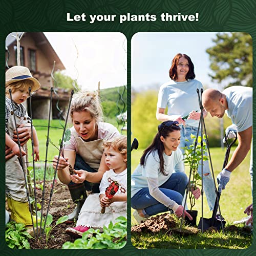 2Packs Garden Trellis for Climbing Plants Outdoor and Indoor, 47.24inch Rustproof Plant Trellis Support for Indoor Plants Trellis for Potted with 100 Ties and 10 Butterflies for Flowers Fruits Vines - Thumbnail 5