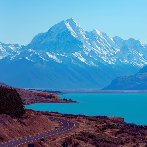 Why Does New Zealand Have an Official Wizard?