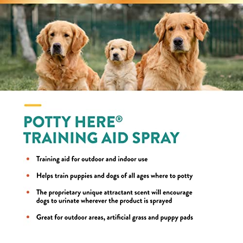 Naturvet – Potty Here Training Aid Spray | Attractive Scent Helps Train Puppies & Dogs Where To Potty | Formulated For Indoor & Outdoor Use | 8 Oz #TOP2