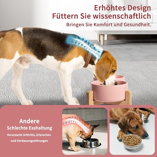 Hundenapf Set Erhöht Hunde Napfset - Doppel Napf Hund Keramik mit rutschfestem Ständer - Erhöhte Futterstation Hund 2er Set für Futter und Wasser - Ideal für kleine und mittelgroße Hunde - 2 x 850 ml