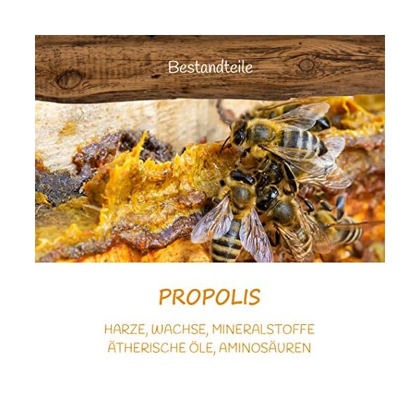 HERCULES 67% HONIG + 30% FRISCHE BLÜTENPOLLEN (NICHT GETROCKNET) + 2% GELEE ROYALE + 1% PROPOLISEXTRAKTPULVER (CREMIG… – Bild 6