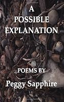 A Possible Explanation 1883458765 Book Cover
