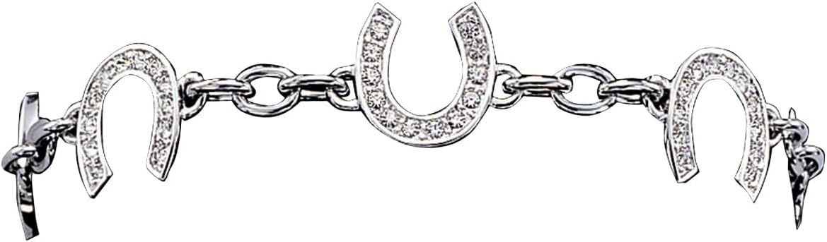 Montana Silversmiths Women's Horseshoe Chain Link Bracelet - BC620 One Size