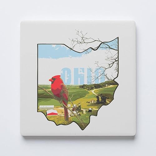 Posavasos del estado de Ohio, decoración para el hogar, posavasos de cerámica individual, portavasos cuadrado individual de 4 pulgadas, respaldo de