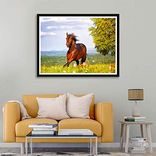 Zeyevan DIY Diamond Painting Completo Cavallo