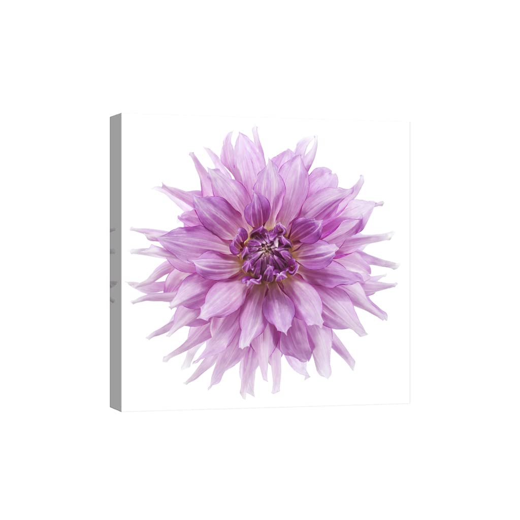 Tableau fleurs luminescent DCF039-1 en toile 80x80cm - 5