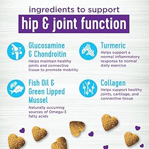 Wellness Grilled Chicken Flavored Soft Chews Hip & Joint Health Supplements for Dogs, 90 Count