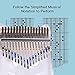 Kalimba Thumb Piano, Portable Finger Piano, Handheld Musical Instrument with Bag and Study Instruction