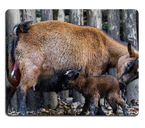 }EX}bgŐṼMƃM̃pbhJX^}CYJX^}CYꂽfXNgbvbvgbṽQ[}EXpbhi}EXpbh/Q[}EXpbhj