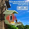 Smart Bird Feeder with Camera Solar Powered, AI Birds Species Identification, 2.5K Live View Video Bird House with Camera for Outside, Weatherproof Design Ideal Gifts for Christmas, Bird Lovers, Green #5