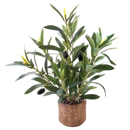 Ewtogift Indoor Fake Olive Plant 12 inch Faux Silk Leaves with Black Rustic Planter Medium Size...