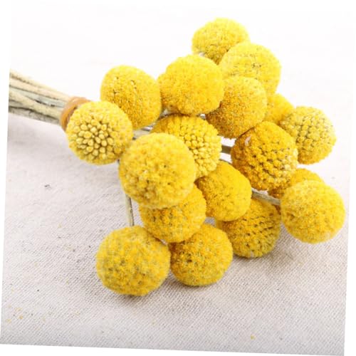Balls de Flores Secas para Decoración 30 Piezas miniatura 3