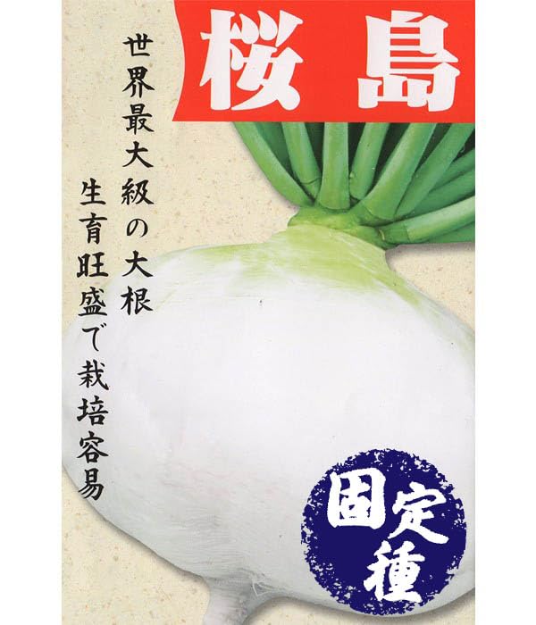 Amazon.co.jp: アサヒ農園 桜島大根(だいこんの種)【固定種】 小袋 Amazon.co.jp: アサヒ農園 桜島大根(だいこんの種)【固定種】 小袋