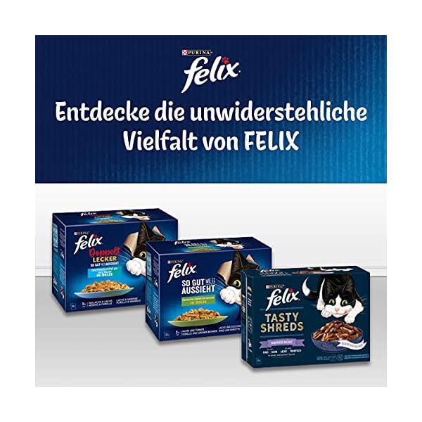 FELIX PET_FOOD – Bild 7