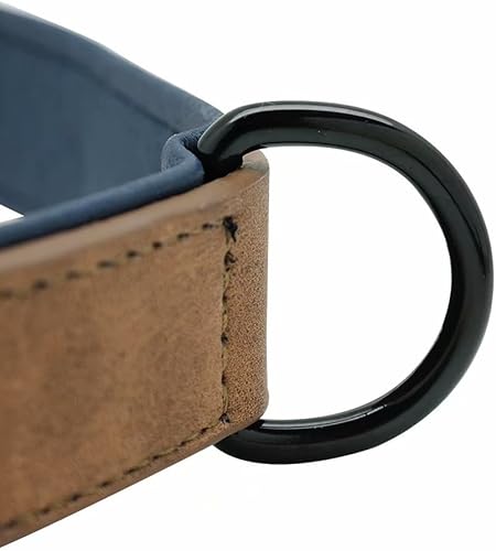 Miniatura 4 de Didog Collares de cuero personalizados para perros con placa de identificación grabada, collares de perro acolchados personalizados grabados para