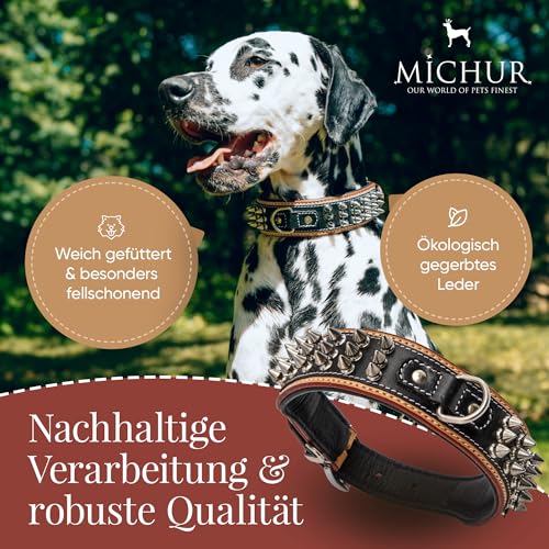 MICHUR Strike NO. 1 Hundehalsband Leder, Halsband, Lederhalsband Hund, Nieten, Halsband Leder MIT Nieten, BEIGE SCHWARZ BREIT, in verschiedenen Größen erhältlich