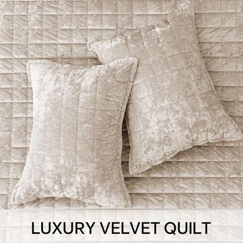 BEDELITE Velvet Quilt Set Queen Size - Luxury Velvet Comforter Bedding Set 3 Pieces, Soft Cozy Urban Taupe Oversized Bedspread Coverlet for All Seasons with 2 Pillow Shams - Image 6
