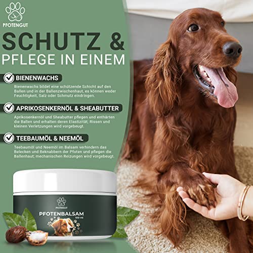 PFOTENGUT® Pfotenbalsam 100ml [Made in Germany] - Pfotenpflege für Hunde gegen trockene und Wunde Pfoten - Hochwertiger Pfotenschutz für Hunde mit Bienenwachs, Sheabutter & Aprikosenkernöl