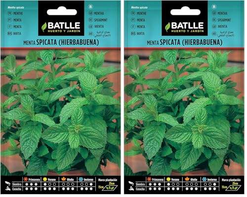 Battle - Semi Aromatici Menta Spicata/Romana (Semi - 40-50Cm) (Confezione da 2)