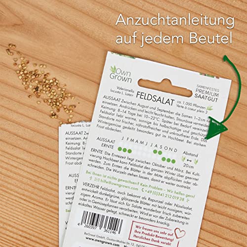 Salat Samen: 8 Sorten Salat Saatgut Set für Garten und Balkon – Kopfsalat Samen, Blattsenf, Feldsalat Samen winterhart, Radicchio, Endiviensalat Samen, Zichorie – Salat Gemüse Samen von OwnGrown