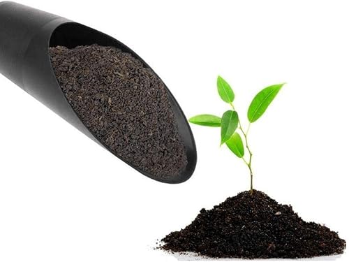 Miniatura 4 de weiyufang Pala de cubo de plástico, pala para bonsái, pala de suelo, pala de trasplante de plantas suculentas, cuchara, mini herramientas de mano