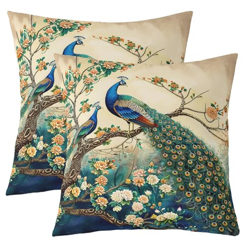 Housse de coussin paon 40x40 pour un canapé chic