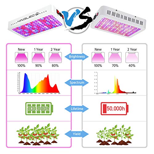 Kingled 2023 Newest 1500W Led Grow Lights With Samsung Lm301B Leds 4 * 4 Ft Coverage Full Spectrum Grow Lights For Indoor Hydroponic Plants Greenhouse Growing Lamps Veg Bloom Daul Mode #TOP1