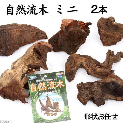 ニッソー『自然流木ミニ』