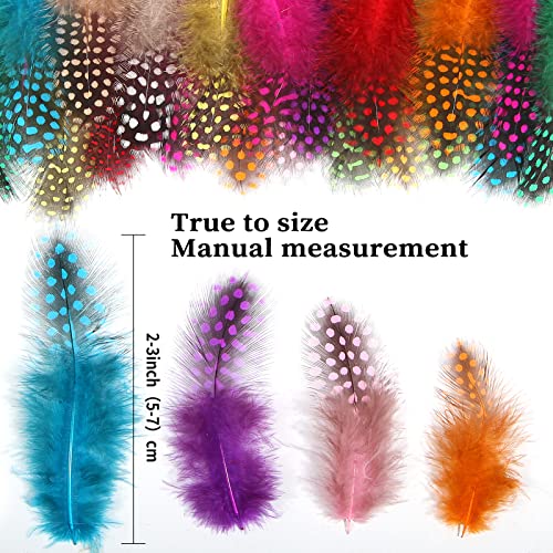 FeelfunFeather 60 pcs Colored Spotted Feathers 2-3inch Bulk Small Guinea Fowl Polka Dot Feather for DIY Crafts Clothing Hats Decoration