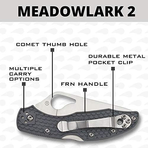 Image of Spyderco Byrd Meadowlark 2 Lightweight Knife with 2.90 inch Stainless Steel Blade and Gray Non-Slip FRN Handle - CombinationEdge - BY04PSGY2