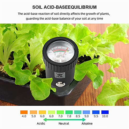 Humidimètre de jardin POINTER POP pour réussir le potager maison