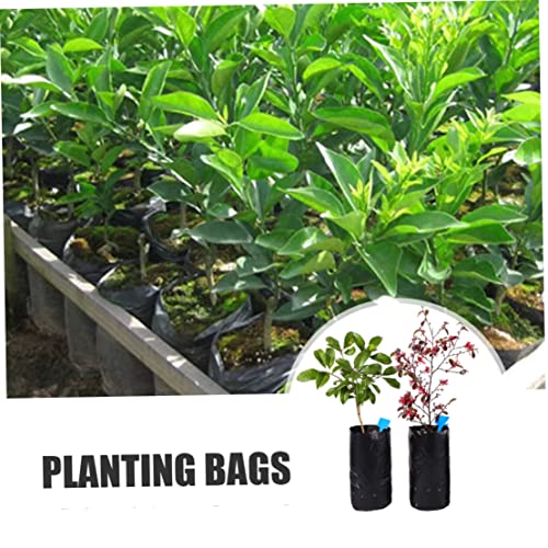 Plantación de árboles sin dañar raíces usando bolsa de plántulas flexible de 7 * 15 cm 4