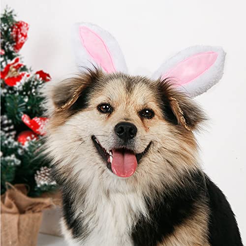Aniac Pet Headgear Soft Headband With Cute Bunny Ears Warm Hat Head Accessories Easter Costume For Cats Kitten Puppy And Small Dogs (Small/Head Girth:9.5 Inch - 11 Inch) #TOP5