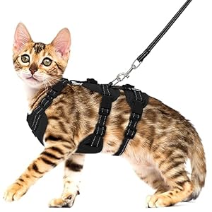 Fully Escape Proof Cat Harness and Leash Set for Walking, Adjustable Soft Kitten Vest with Reflective Strip for Small Medium Large Adult Cats, Breathable Kitty Harness,Black S