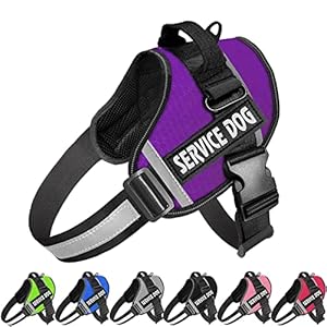 JSXD Dog Harness,No-Pull Service Dog Harness with Handle Adjustable Outdoor Pet Dog Vest 3M Reflective Nylon Material Vest for Breeds,Easy Control for Small Medium Large Dogs