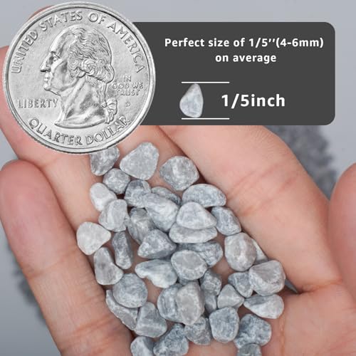 Image of 2lbs Natural Gravel Pebbles for Succulents and Cacti, 1 /5 Inch Decorative River Stones - Perfect for Vases, Aquariums, Terrariums, and Outdoor Gardening, Mixed Colors (Grey, 2 Pounds)