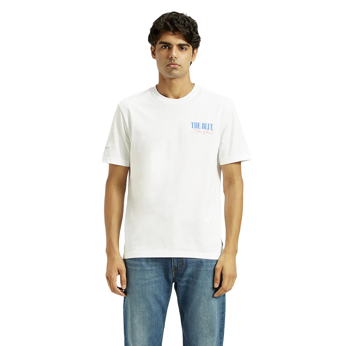 levi's Men's Regular Fit T-Shirt-picture-22