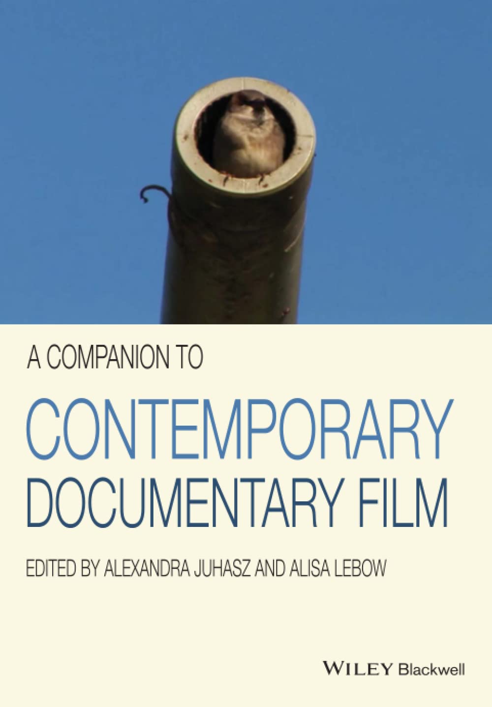 A Companion to Contemporary Documentary Film édition de référence