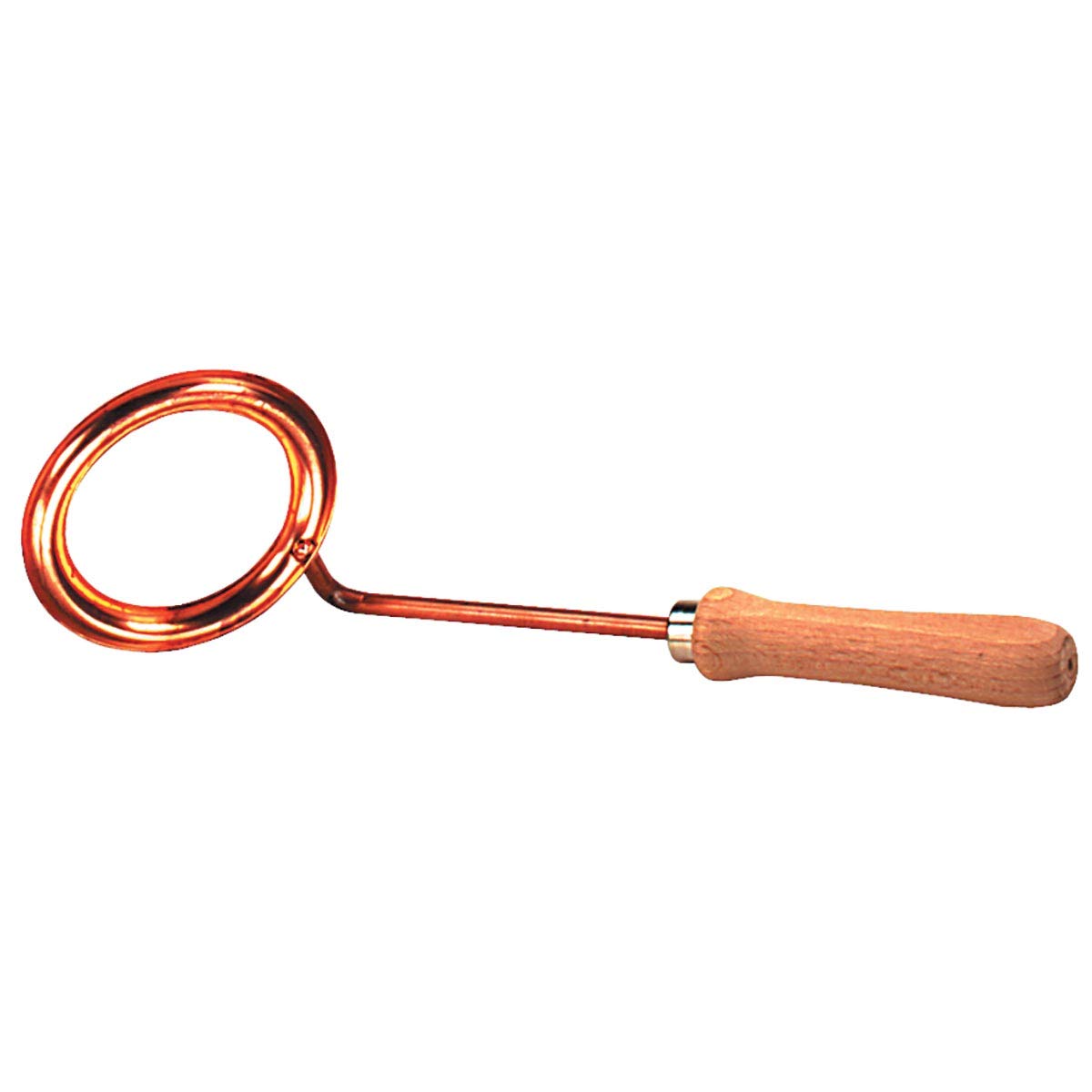3B Scientific U8497310 Channel of Fusion