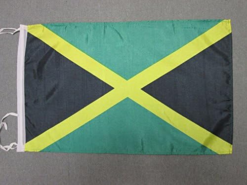 AZ FLAG Jamaica Flag 18'' x 12'' cords - Jamaican SMALL flags 30 x 45cm - Banner 18x12 in