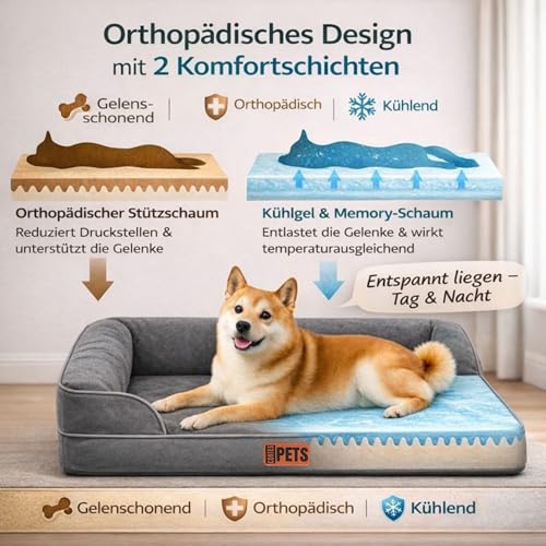 CORTES PETS Orthopädisches Hundebett für Kleine Hunde 61x48 cm -Hundekörbchen - Hundekissen - Waschbar - mit erhöhte Ränder - Hundesofa kleine Hunde – Memory Foam - Wasserfeste Hundebetten