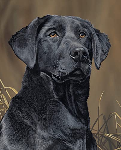 Black Lab Dog Cotton Panel Size 36 X 44 inches David Textiles ML3488