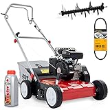 HECHT Benzin Vertikutierer mit leistungsstarkem Motor – 1,8 kW / 2,45 PS – 37,5 cm Arbeitsbreite – 40l Fangkorb – Walze zum Entfernen von Moos und Unkraut aus Rasen + SAE 10W-30 Öl + Ersatz-Keilriemen