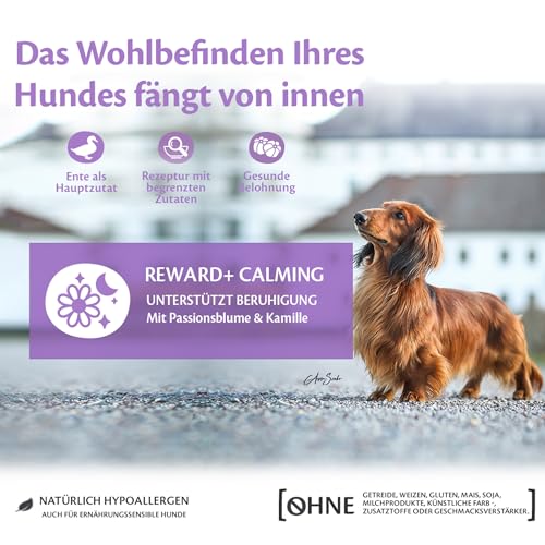 Wellness CORE Reward+ Beruhigung 170g, Ente & Kamille – sanfte Hundeleckerli für alle Hunderassen, getreidefrei, natürlich, hypoallergen, proteinreich, hoher Fleischanteil, beruhigende Unterstützung