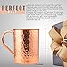Advanced Mixology [Gift Set] Moscow Mule Mugs Set of 2 (16oz) | 100% Copper Mugs Set w/ 2 Straws, 2 Wooden Coasters & 1 Shot Glass | Tarnish-Resistant Food Grade Lacquer Coat